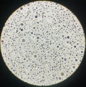 微信图片_20240817102419